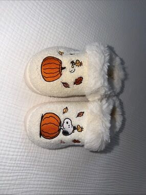 American Eagle Snoopy Slippers